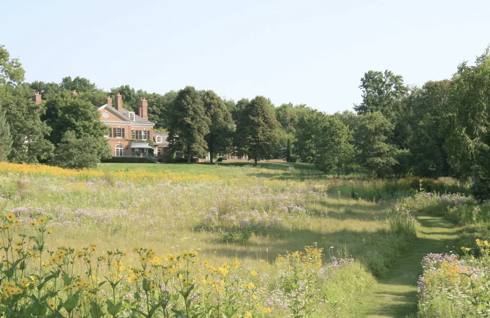 Meadow Project, Litchfield County, Connecticut — native planting in progress